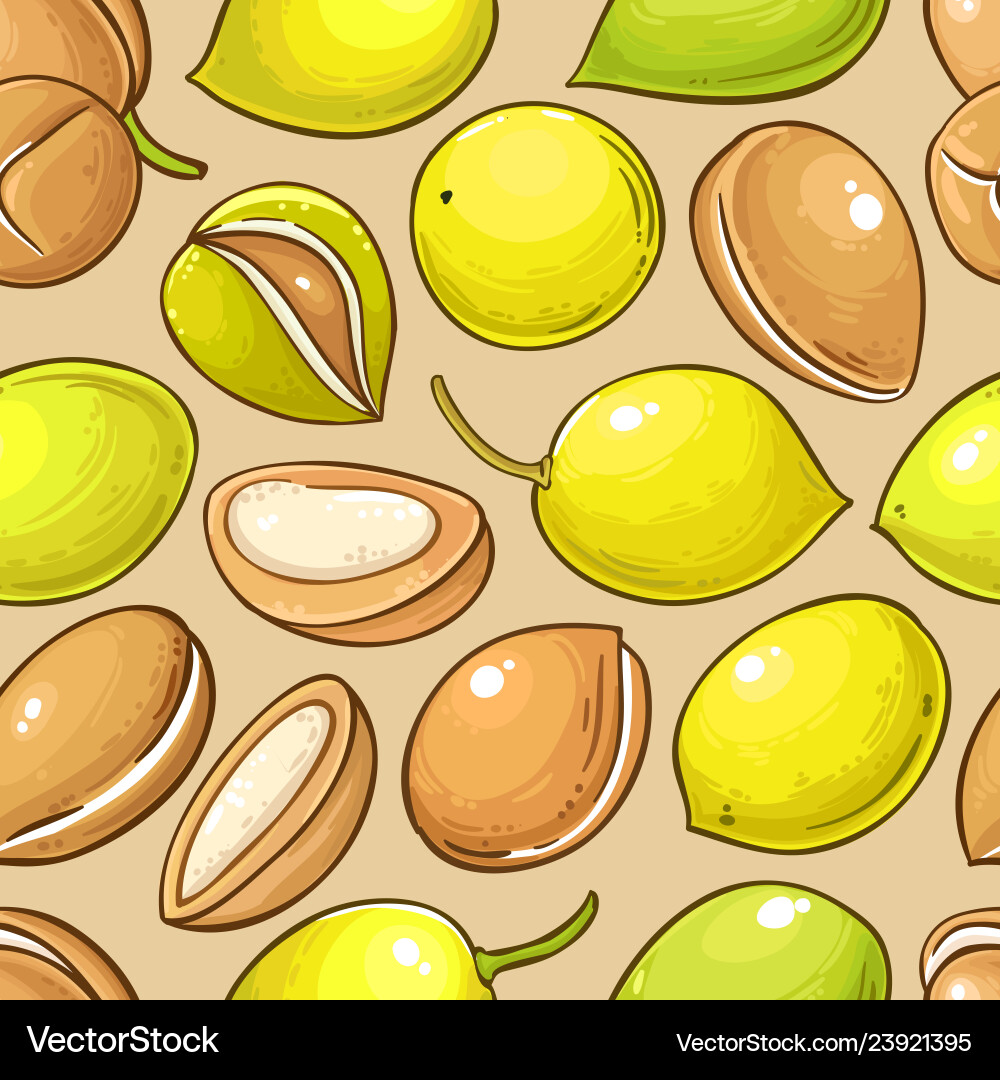 Argan nuts pattern on color background Argan nuts pattern on color background vector image