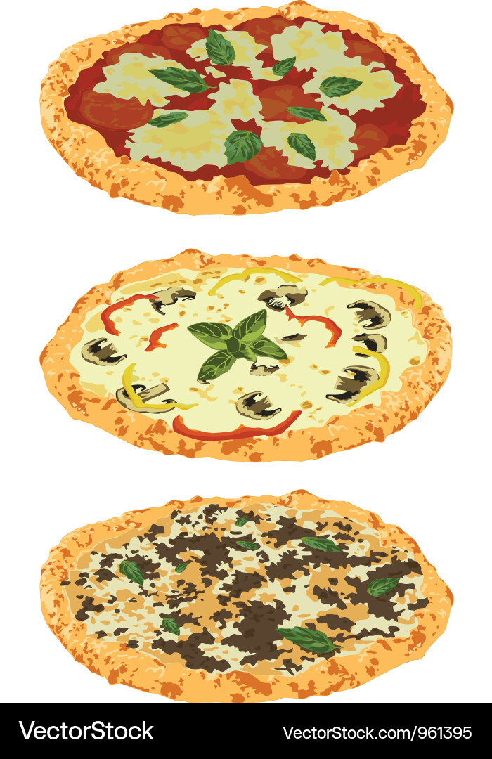 Three Pizza Styles Vector Image