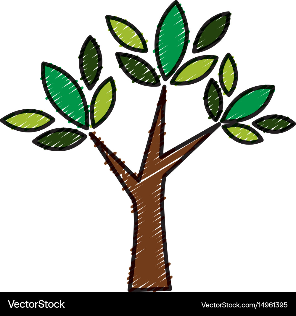 Tree icon image Vector Image