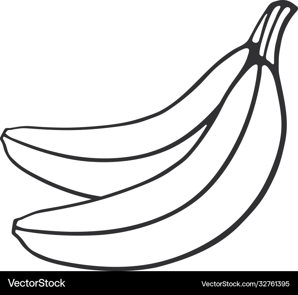 Two Bananas Doodle vector image