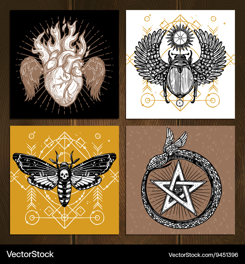 Occult Insect Sketch Set Vector Image