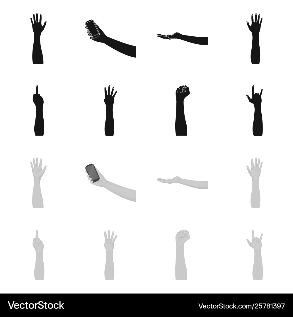 Isolated object and animated logo set Vector Image