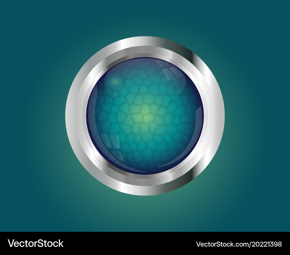 Metallic shiny button Vector Image