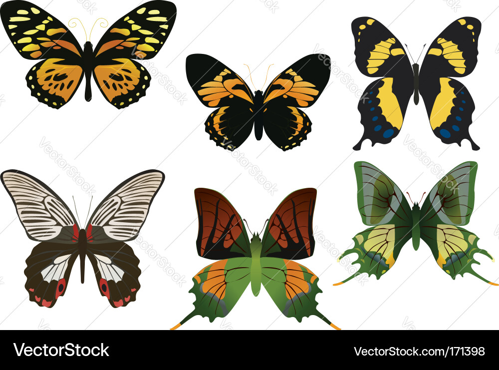 Multicolored butterflies Vector Image