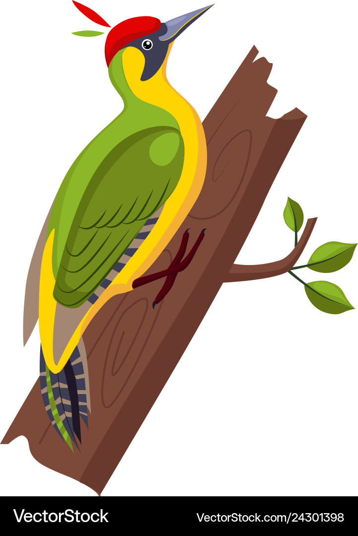 Yellow wagtail funny alphabet animal Yellow wagtail funny alphabet animal Vector Image