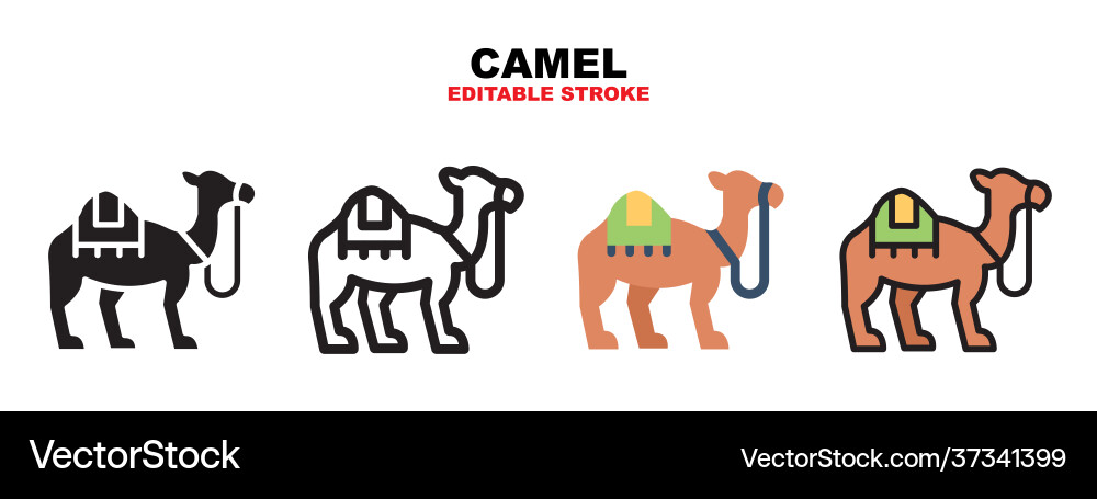 Camel icon set with different styles Camel icon set with different styles vector image