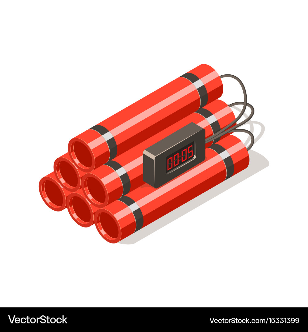 Dynamite bomb with digital timer vector image