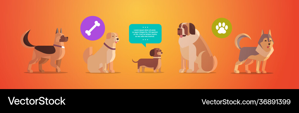 Group purebred dogs furry human friends home Group purebred dogs furry human friends home vector image