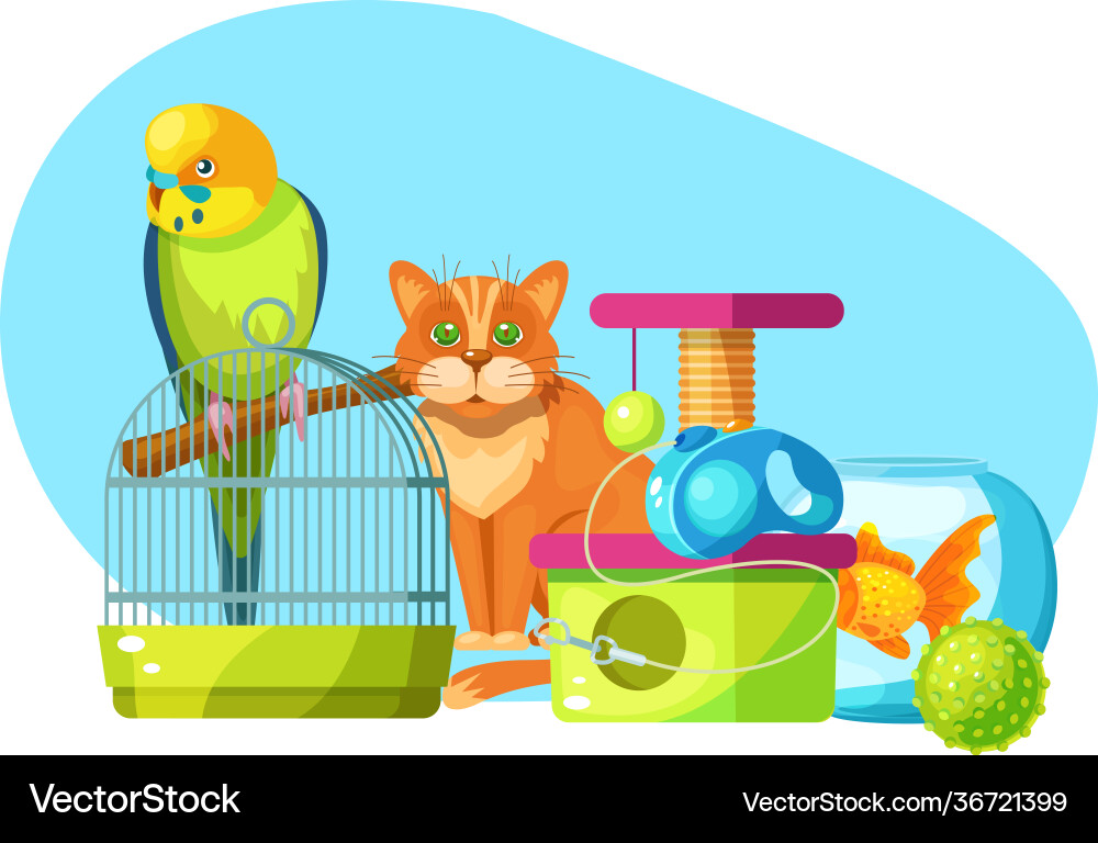 Pet shop animal food accessories and toys Pet shop animal food accessories and toys vector image