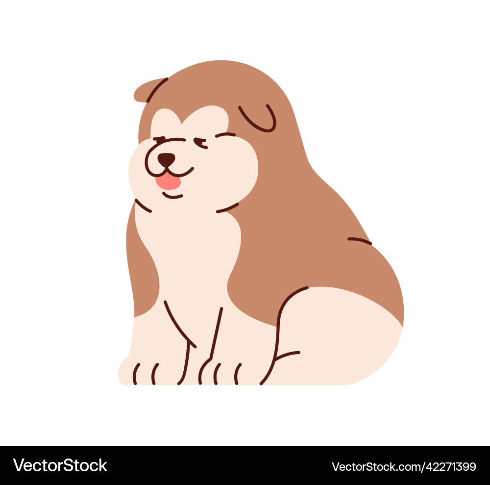 Süße chinesisch alaskan malamute sitzen lustig Süße chinesisch alaskan malamute sitzen lustig vektorbild