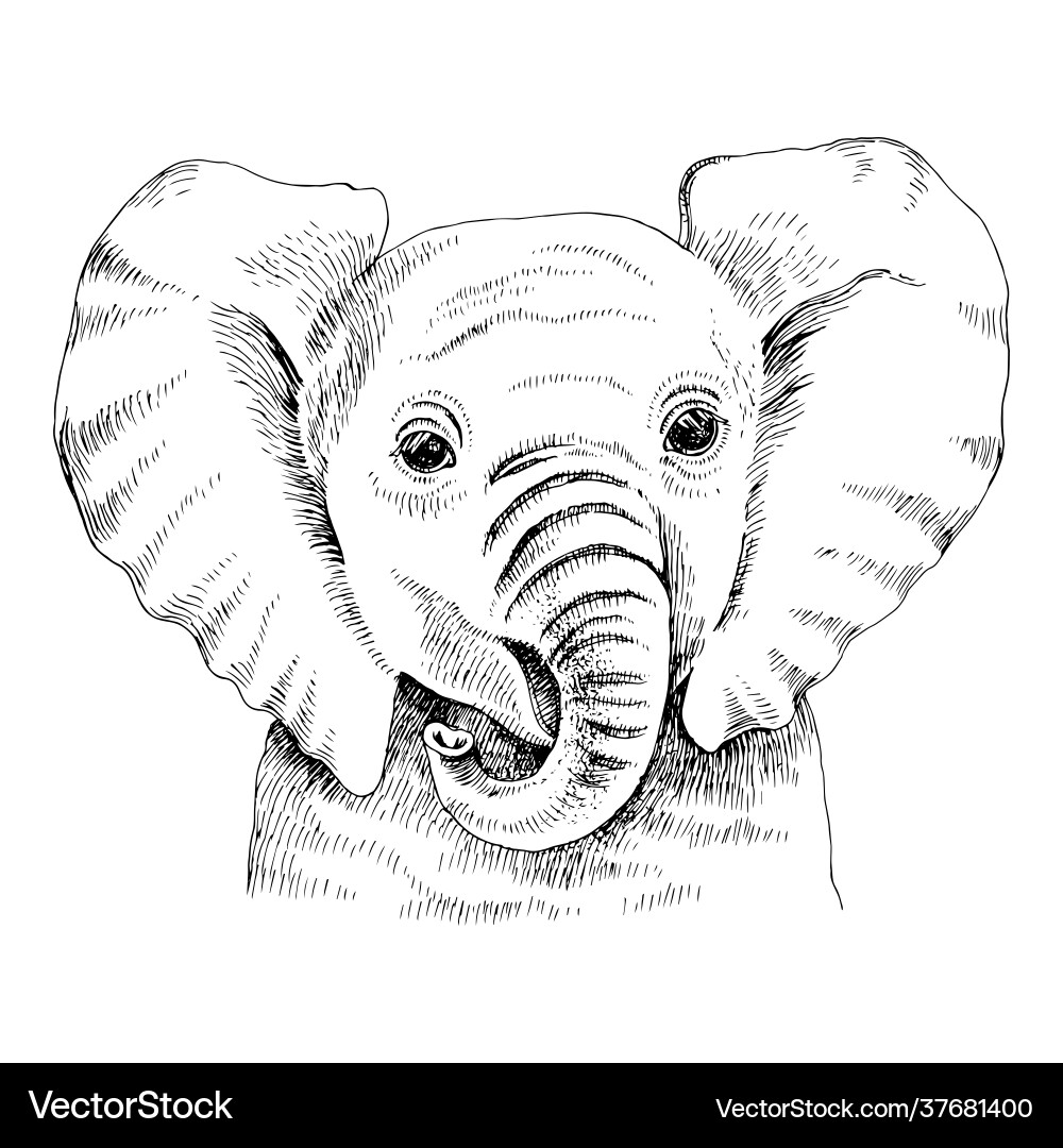 How to Draw an Elephant Face - Easy Drawing Tutorial For Kids, image size:1000x1080