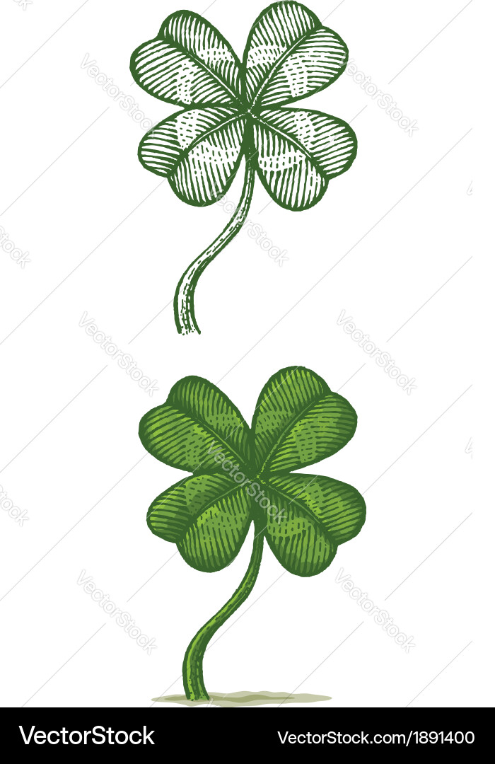 Green Clover Symbol (1891400) – Royalty-Free Vector | VectorStock