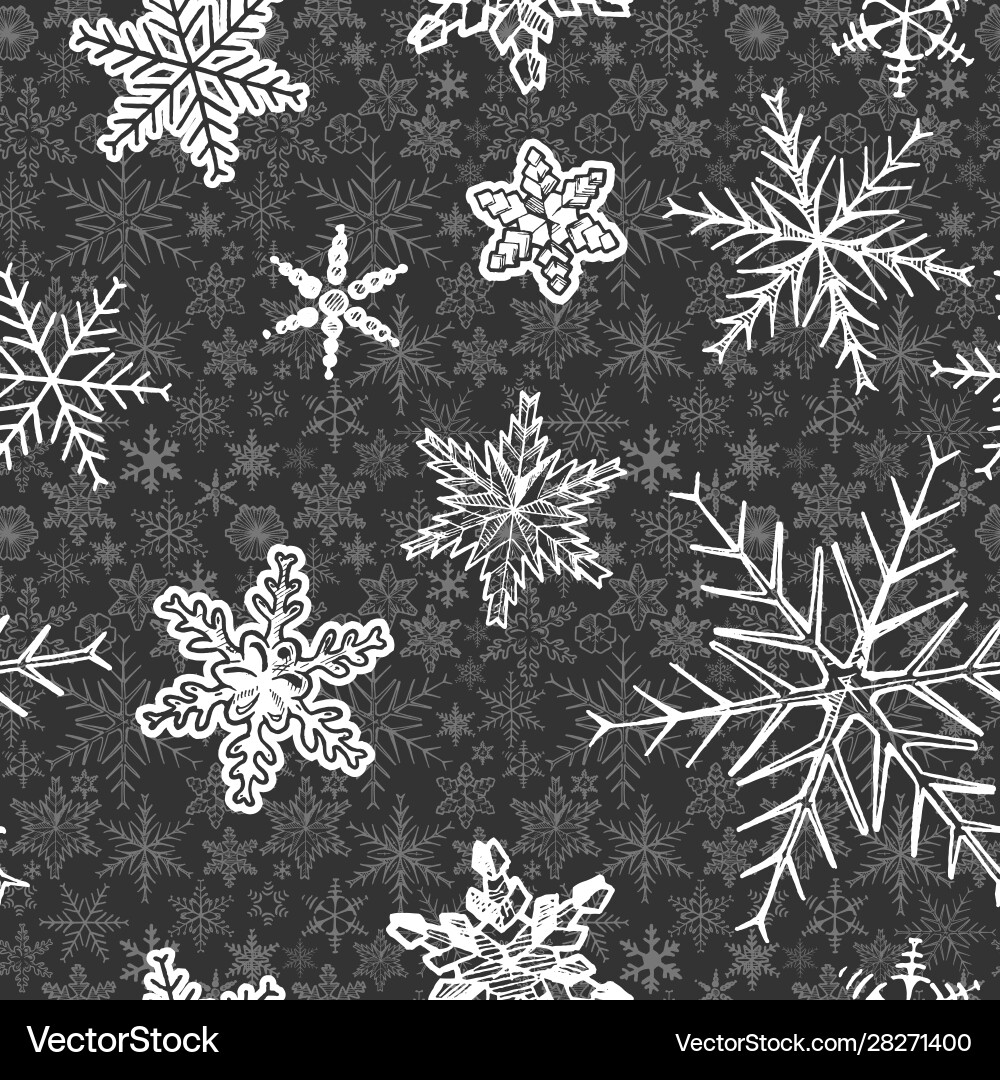 Snowflake Winter Pattern vector image