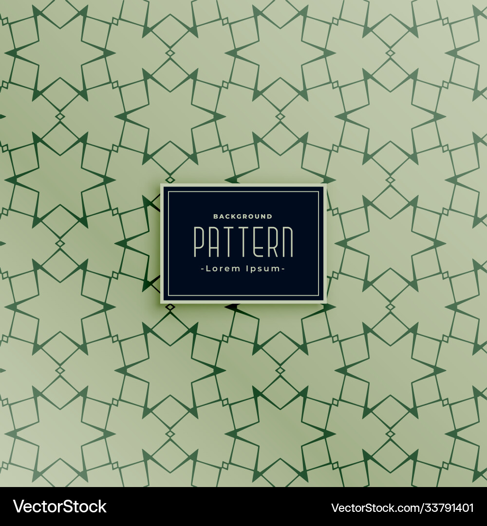 Big star shape line pattern background design vector image