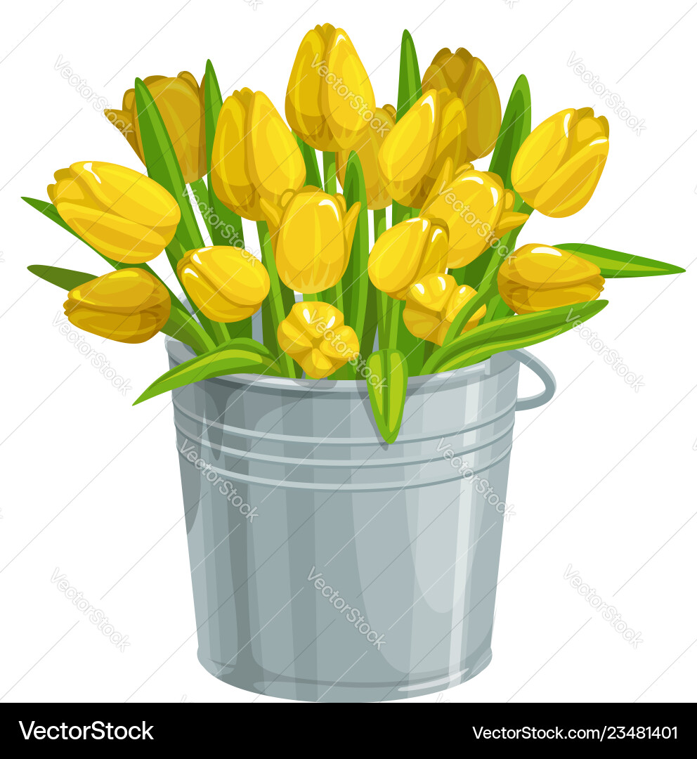 Gelbe Tulpen in Bucket Vektorbild
