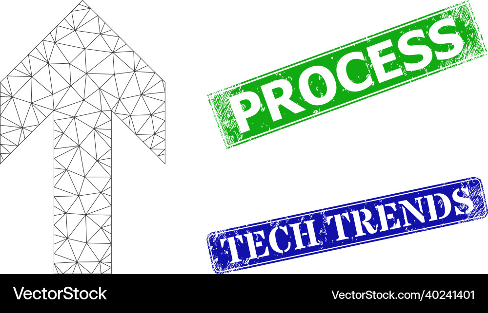 Scratched process imprints and polygonal mesh up Scratched process imprints and polygonal mesh up Vector Image