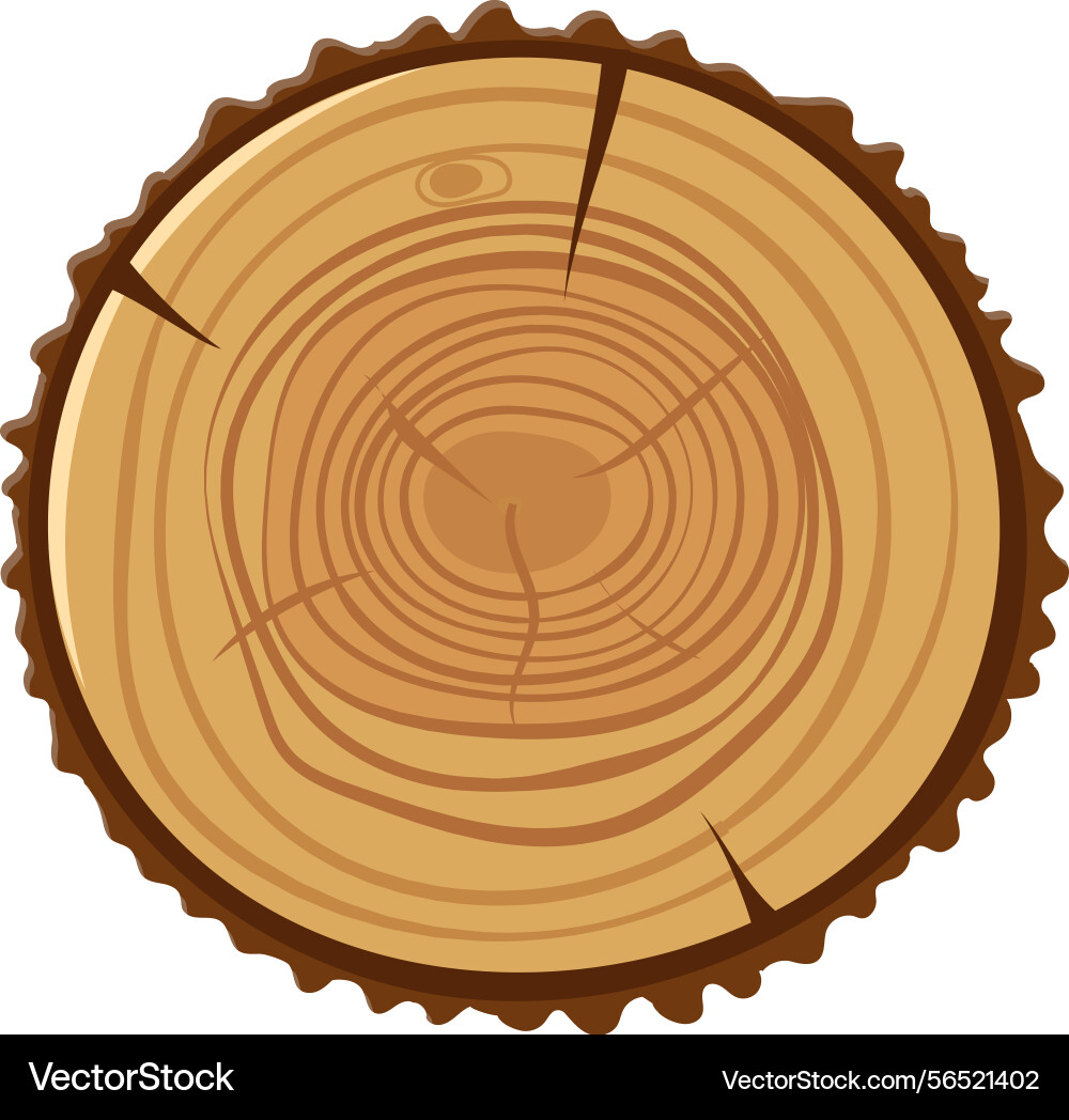 Tree trunk section displaying detailed growth Tree trunk section displaying detailed growth vector image