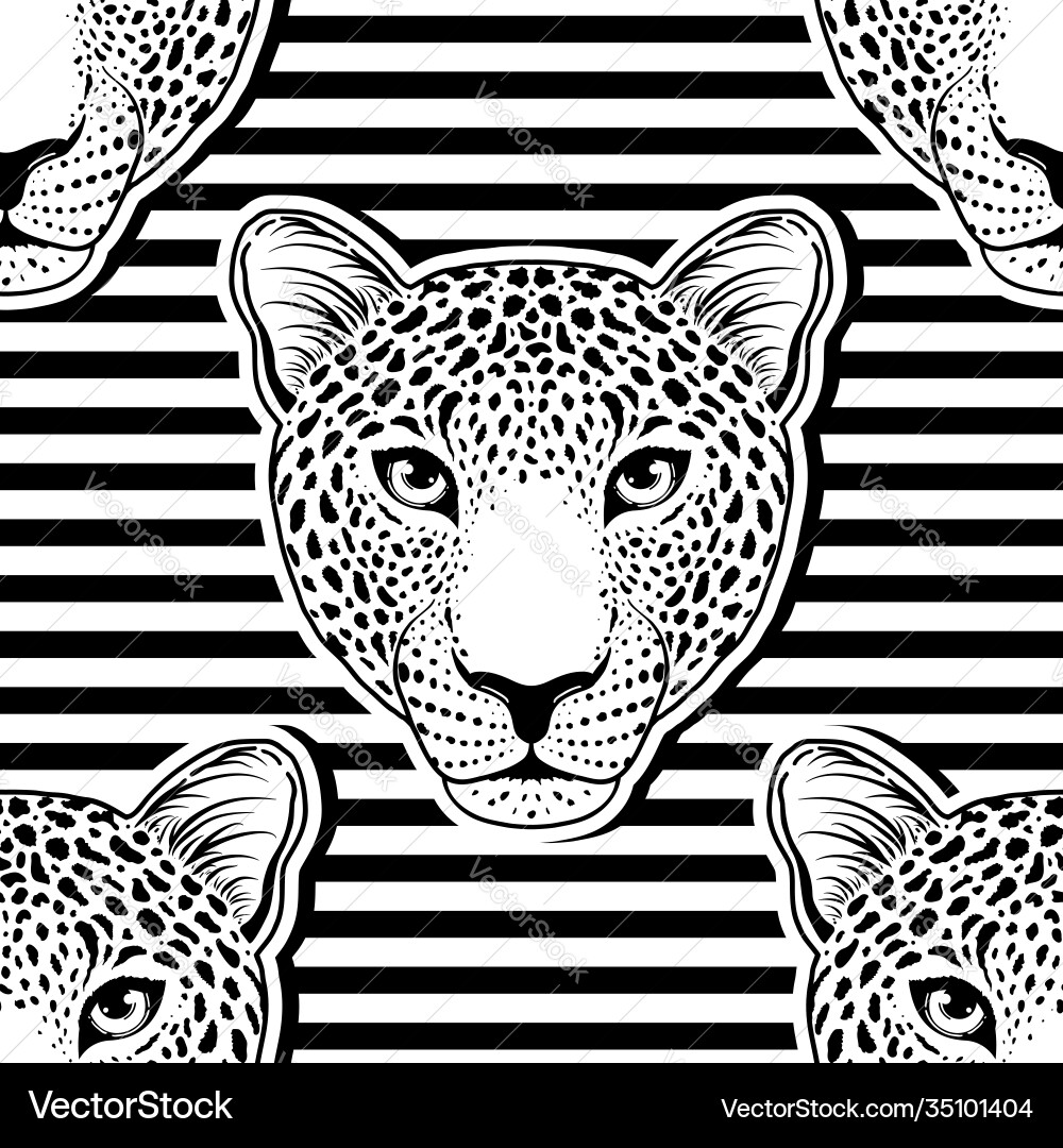 Leopard Muzzle Seamless Pattern Vector Image