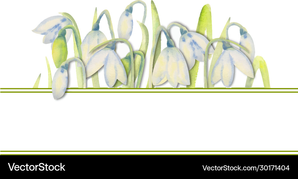 Romantic spring frame with snowdrops on outer Romantic spring frame with snowdrops on outer Vector Image