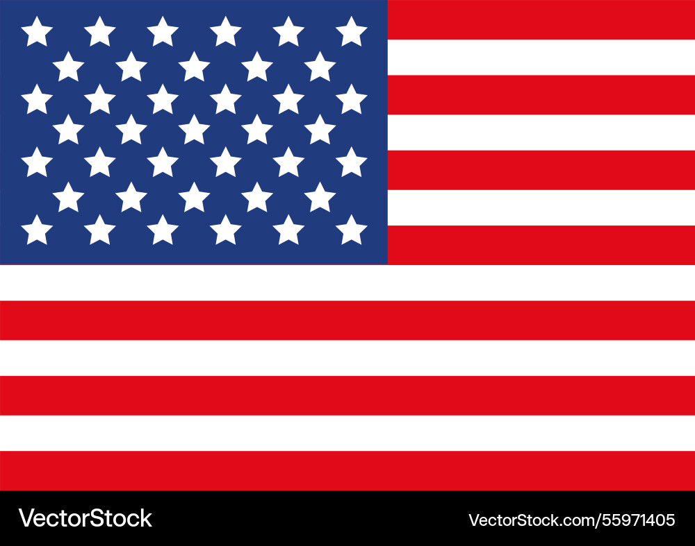 United states of america patriotic day United states of america patriotic day vector image