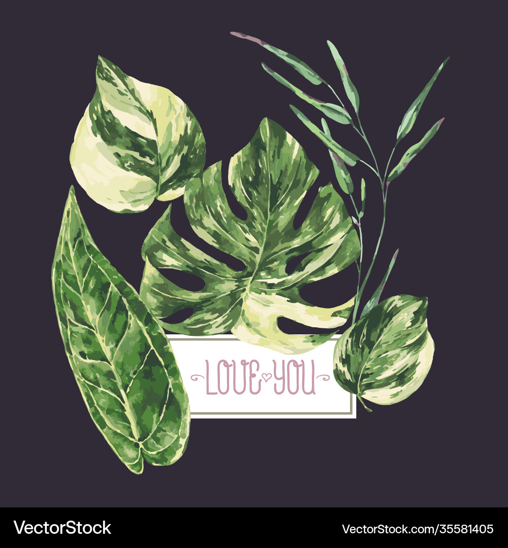 Watercolor tropical green leaves monstera Watercolor tropical green leaves monstera vector image