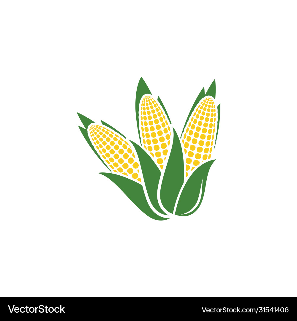 Agriculture corn icon design vector image