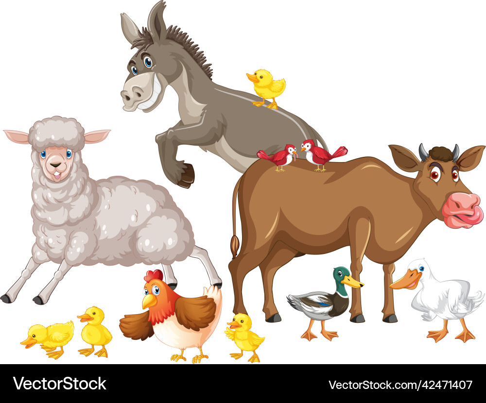 Farm animals on white background vector image