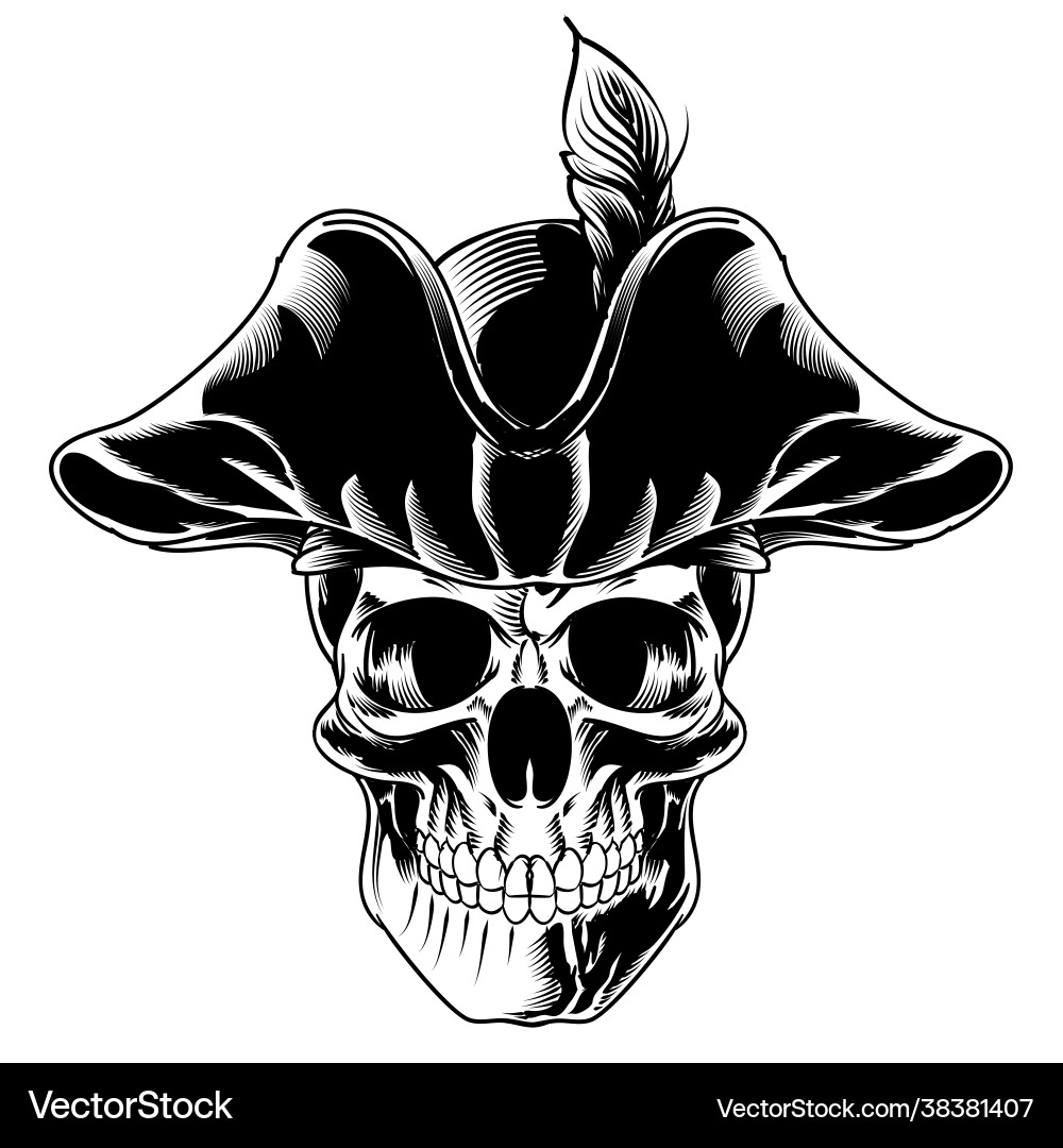 Isolated skull with pirate hat for logo Isolated skull with pirate hat for logo vector image