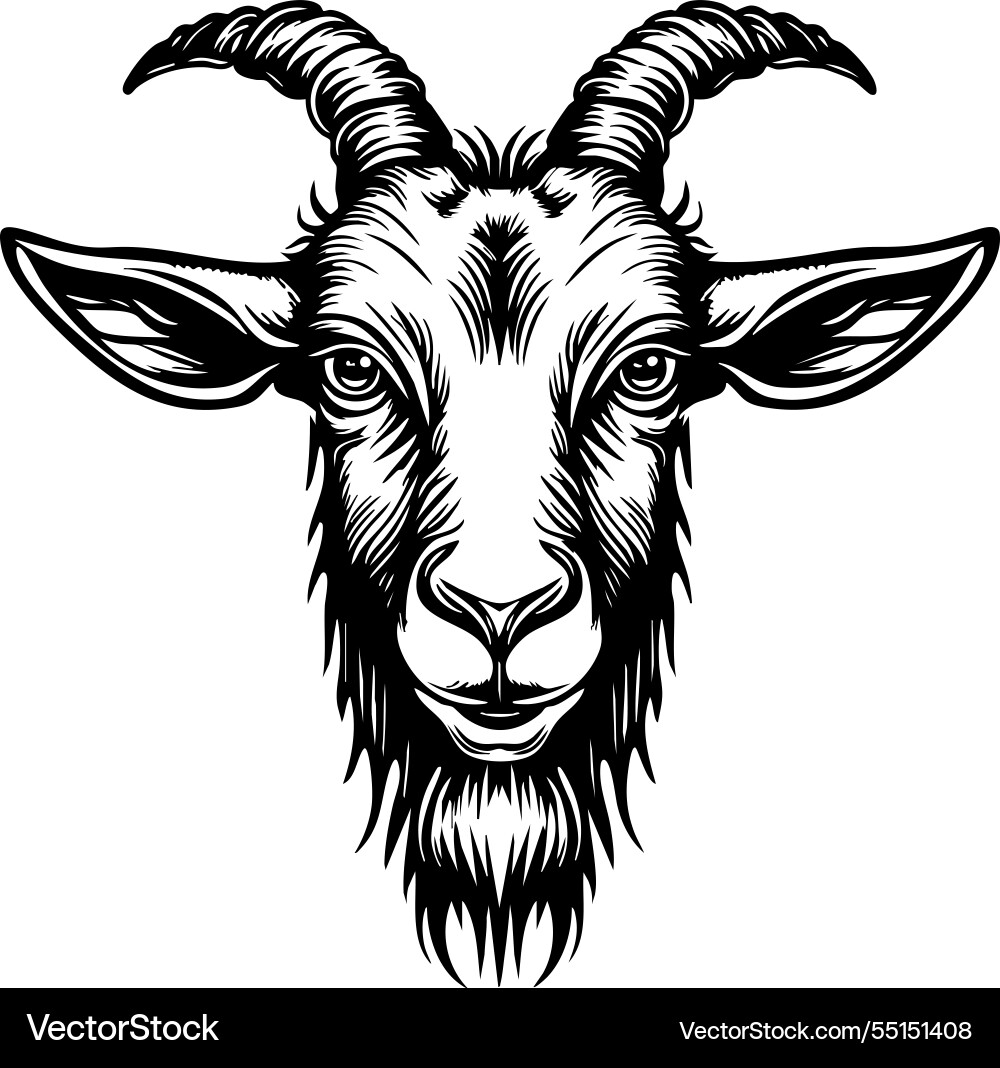 Detailed Goat Head Prominent Horns Royalty Free Vector Image