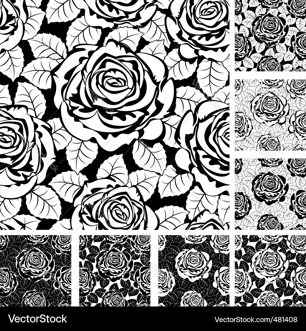 Elegant Rose Pattern vector image