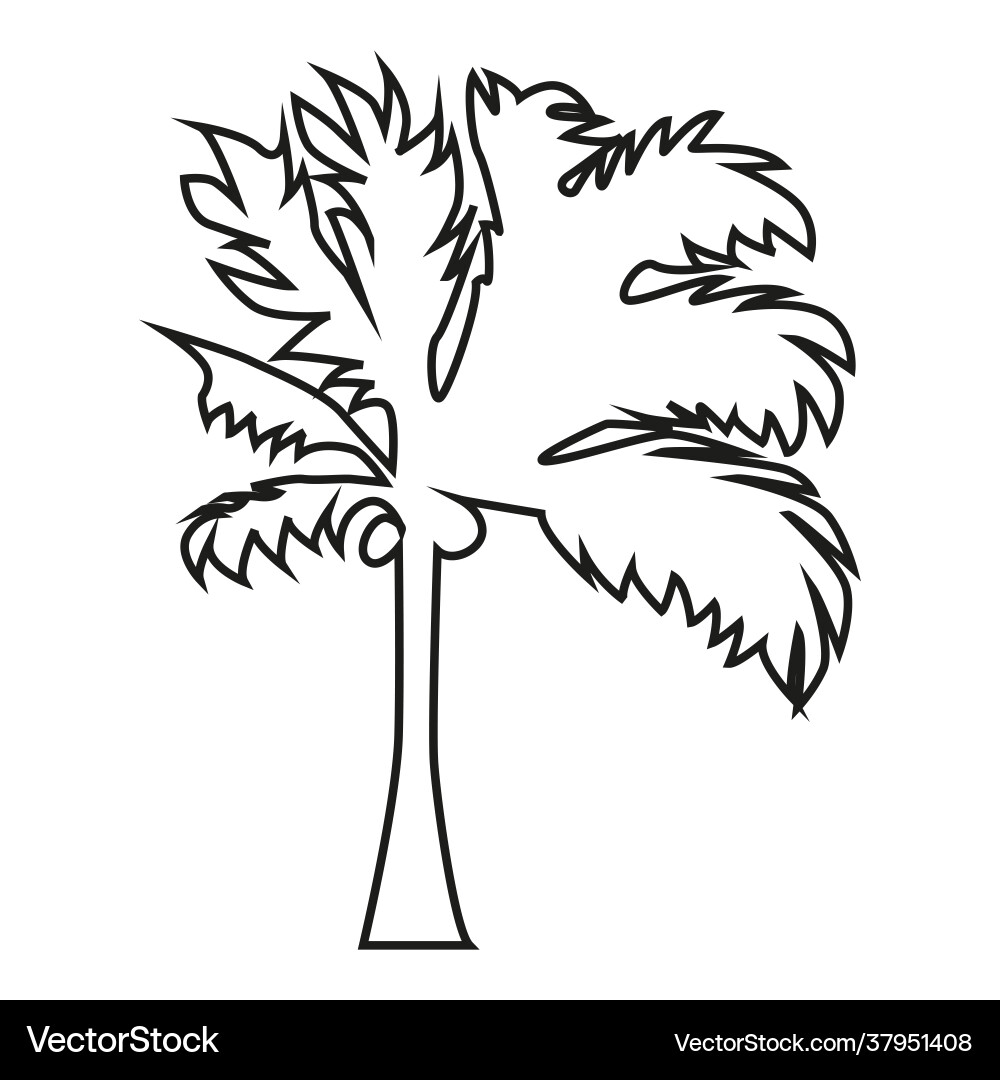 Graphical palm tree set linear style isolated Graphical palm tree set linear style isolated vector image