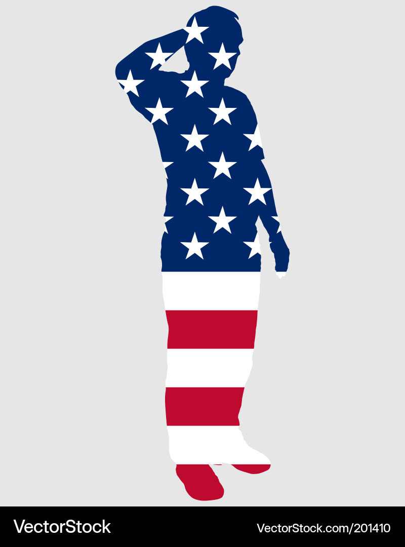 American Salute Silhouette vector image