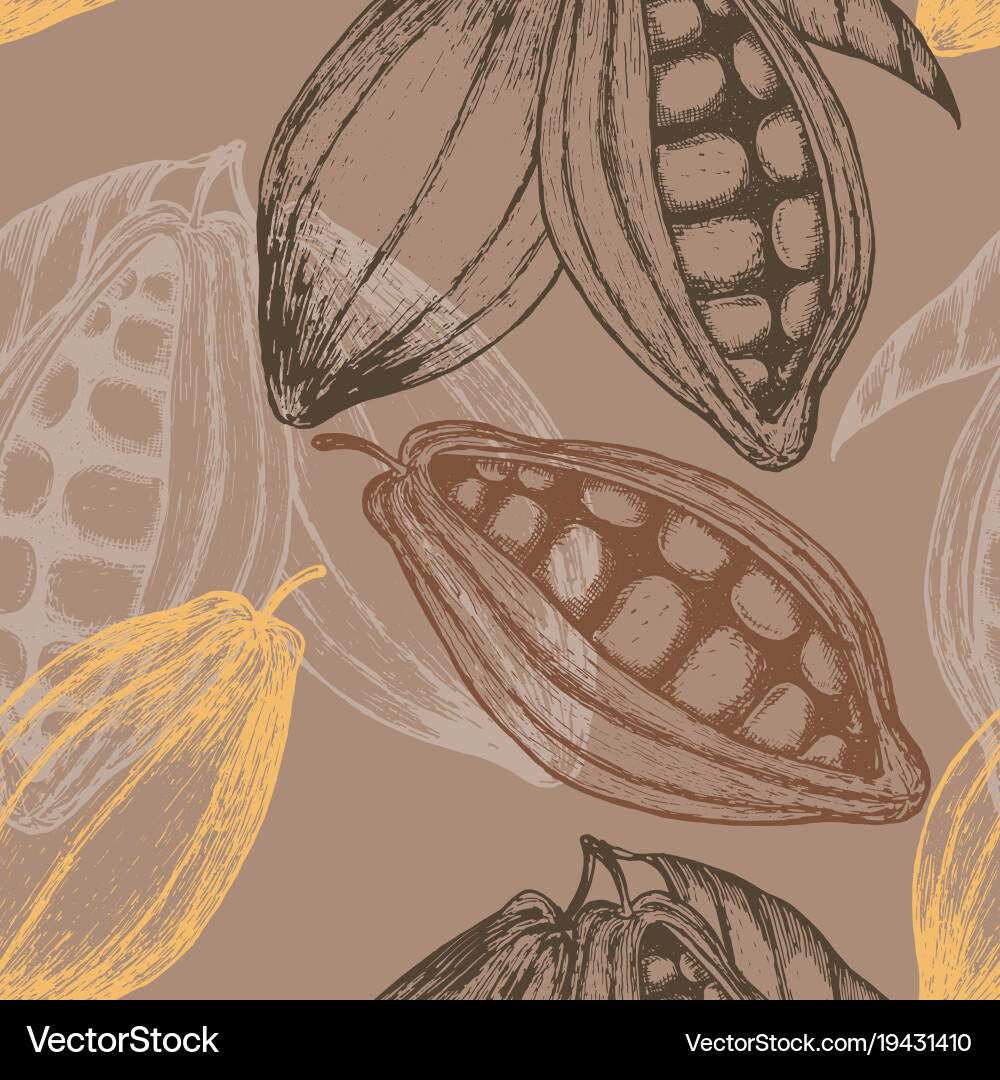 Cocoa Bean Seamless Pattern vector image