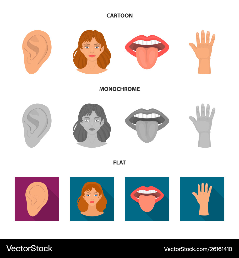 Isolated object body and part icon set Isolated object body and part icon set vector image