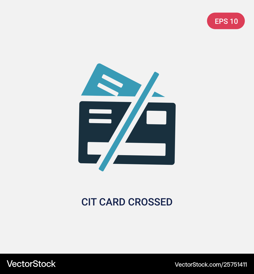 Two color cit card crossed icon from user vector image