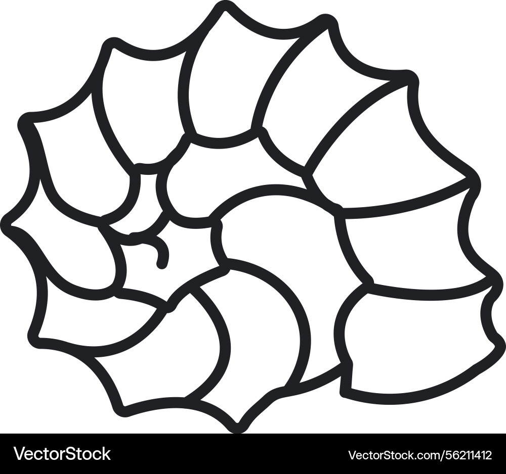 Abstract nautilus shell line art Abstract nautilus shell line art vector image