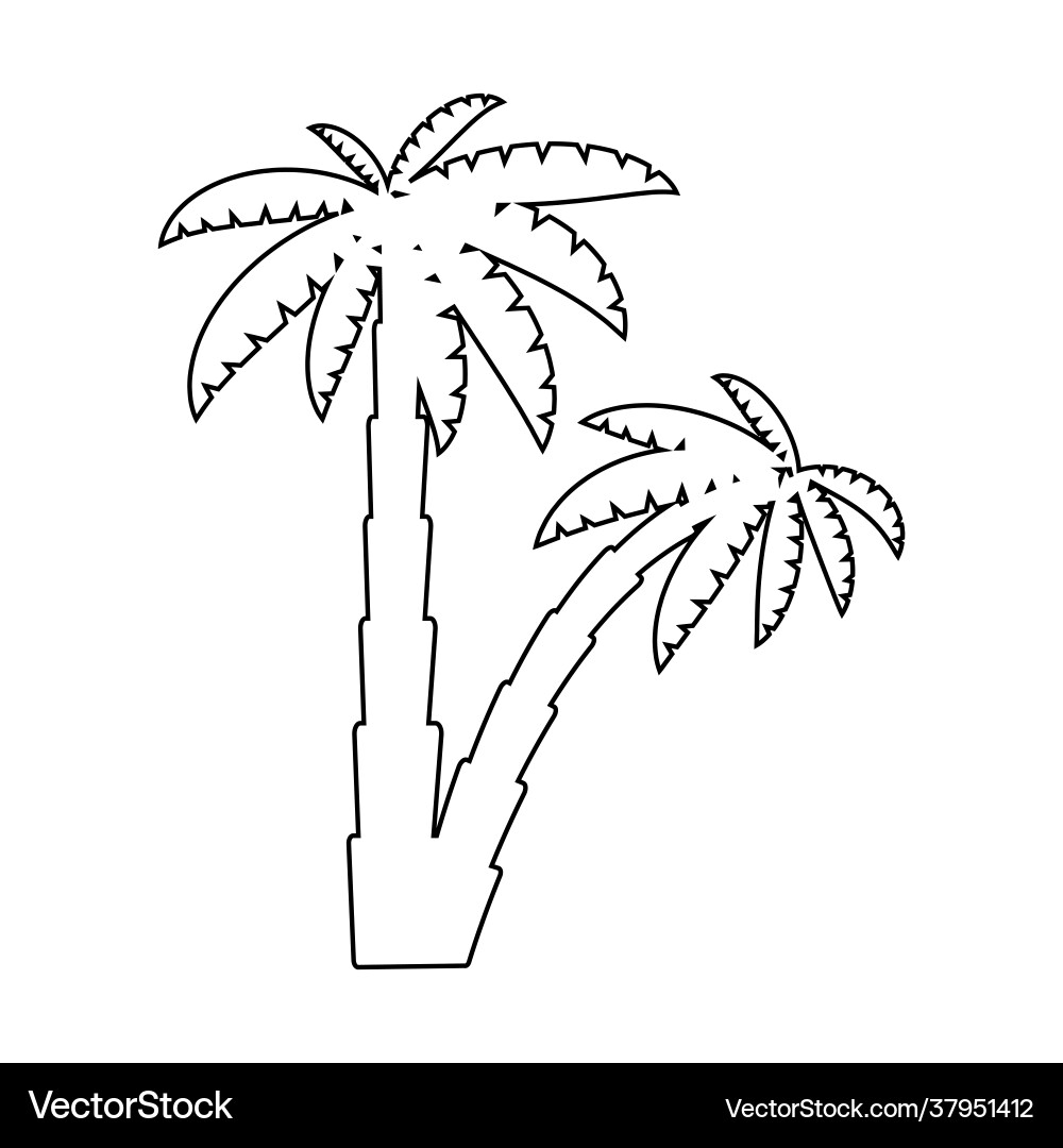 Graphical palm tree set linear style isolated Graphical palm tree set linear style isolated vector image