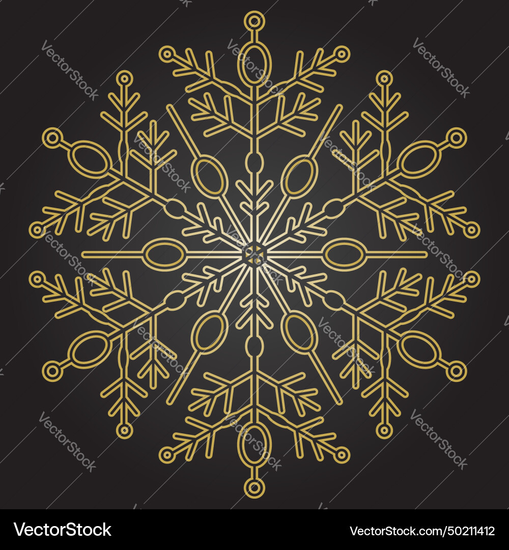 Round snowflake with abstract winter Round snowflake with abstract winter vector image
