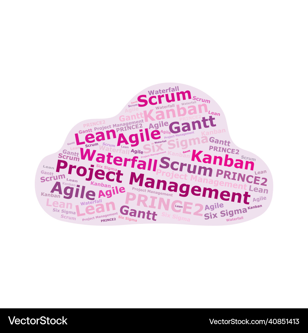 Cloud of different project management vector image