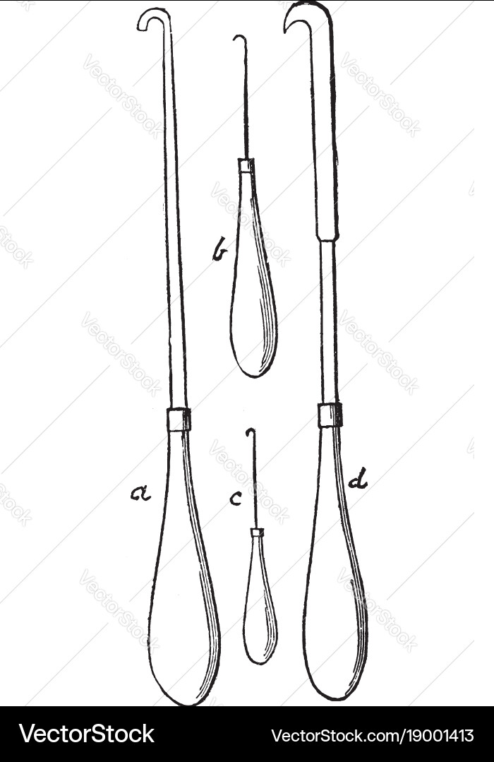 Hooks used in the process of egg blowing Vector Image