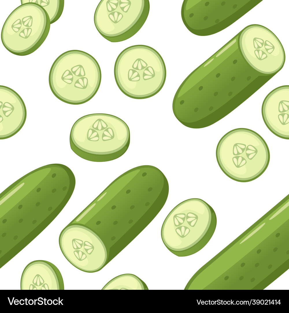 Seamless pattern fresh cucumber and slice vector image