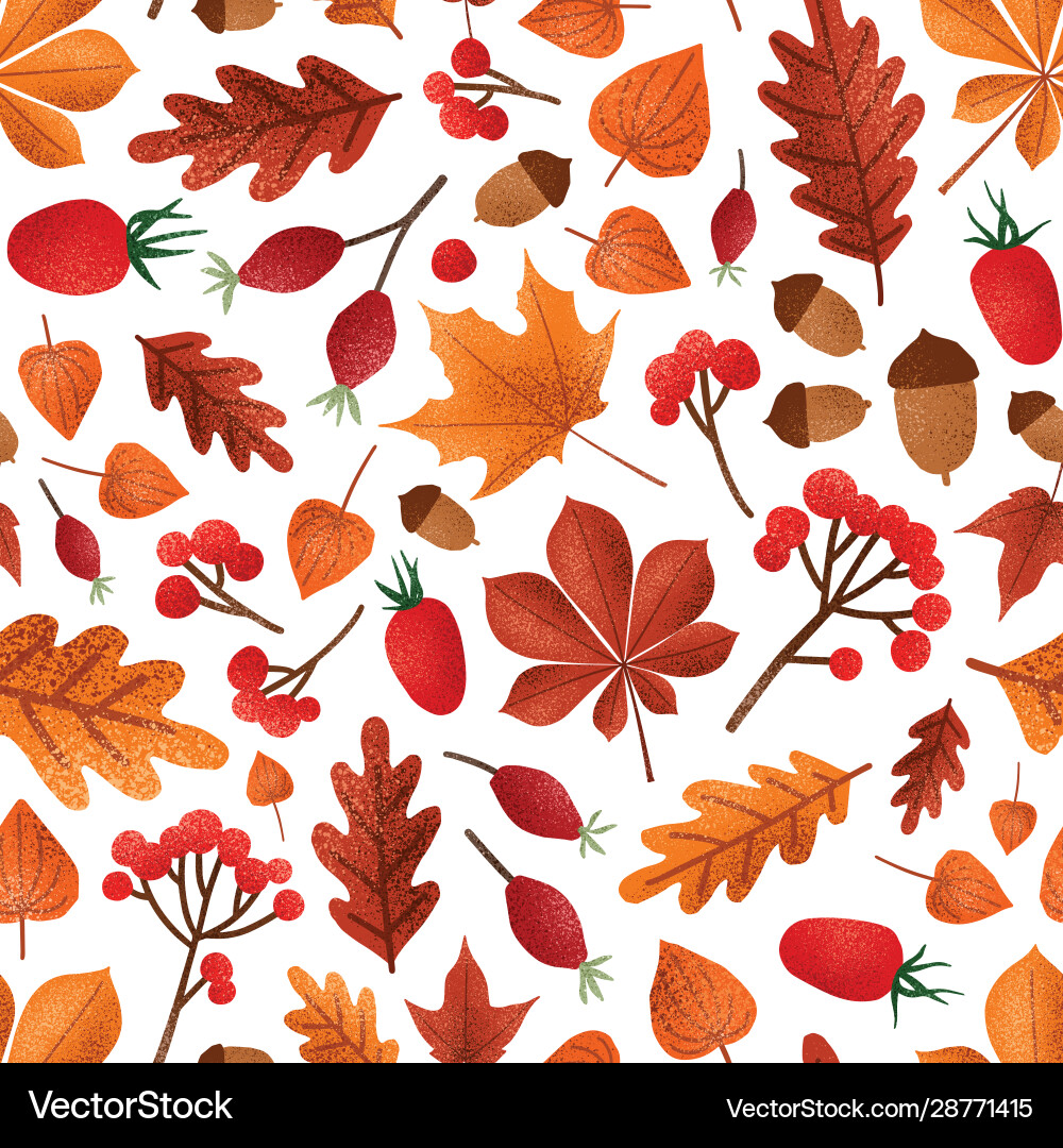 Autumn Berries and Leaf Pattern vector image
