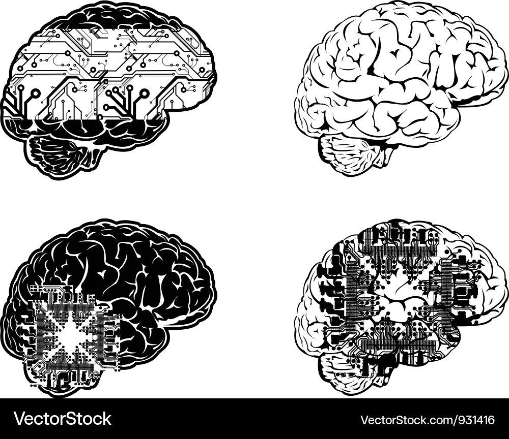 Electronic Brain Side Views - Four Color Set Vector Image