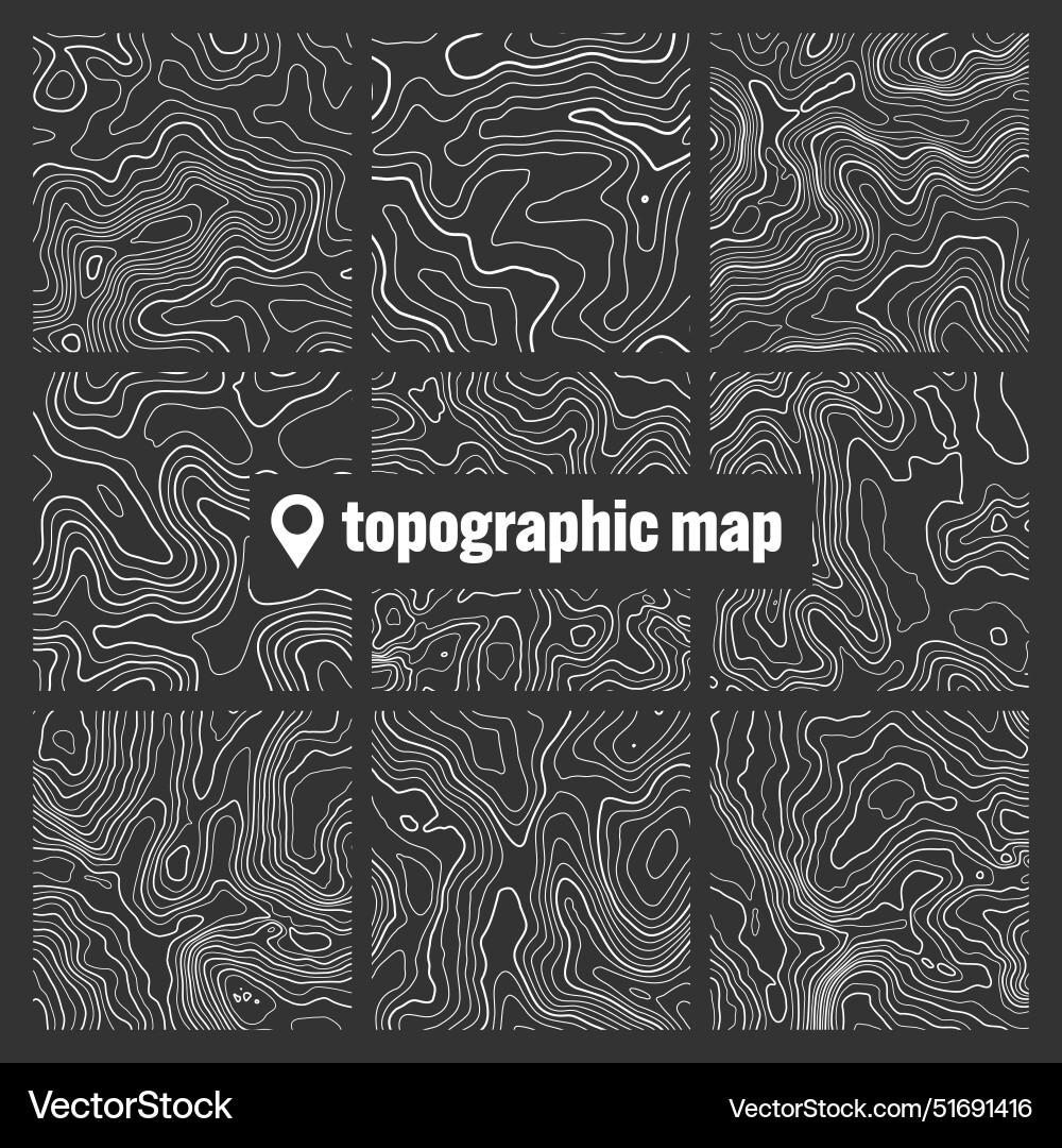 Topographic map with contour lines geographic Vector Image