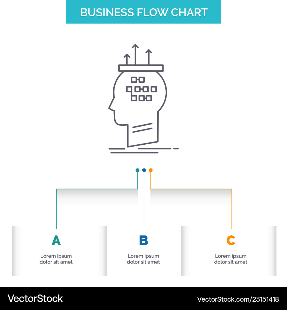 Algorithm brain conclusion process thinking Algorithm brain conclusion process thinking vector image