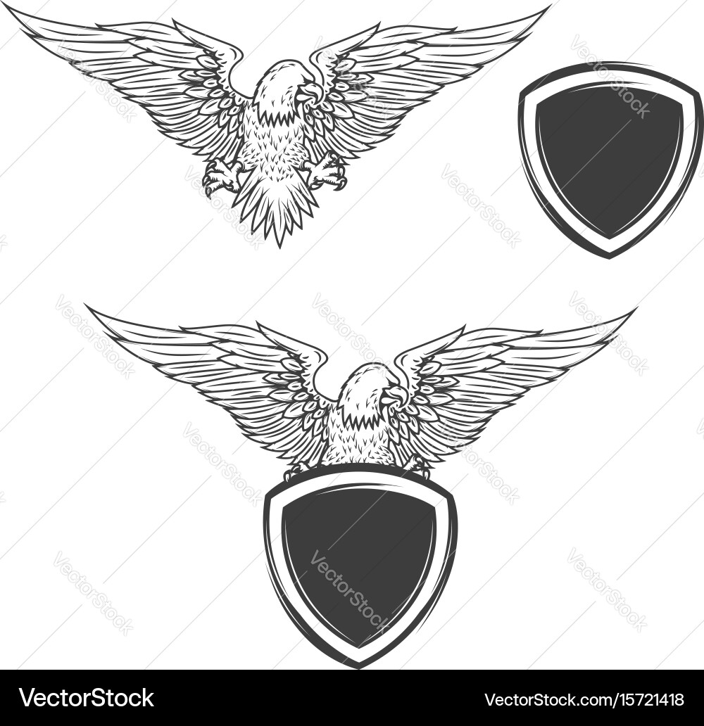 Eagle on shield isolated white background Vector Image