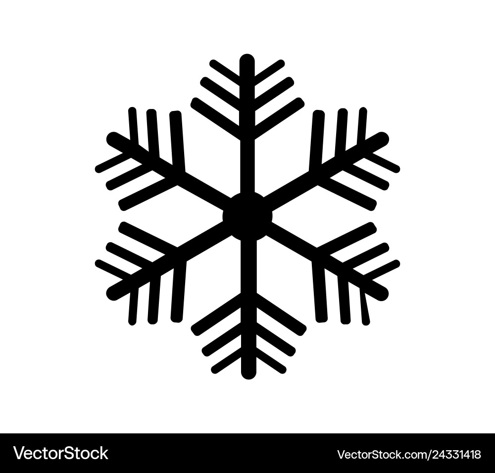 Snowflake icon Snowflake icon vector image