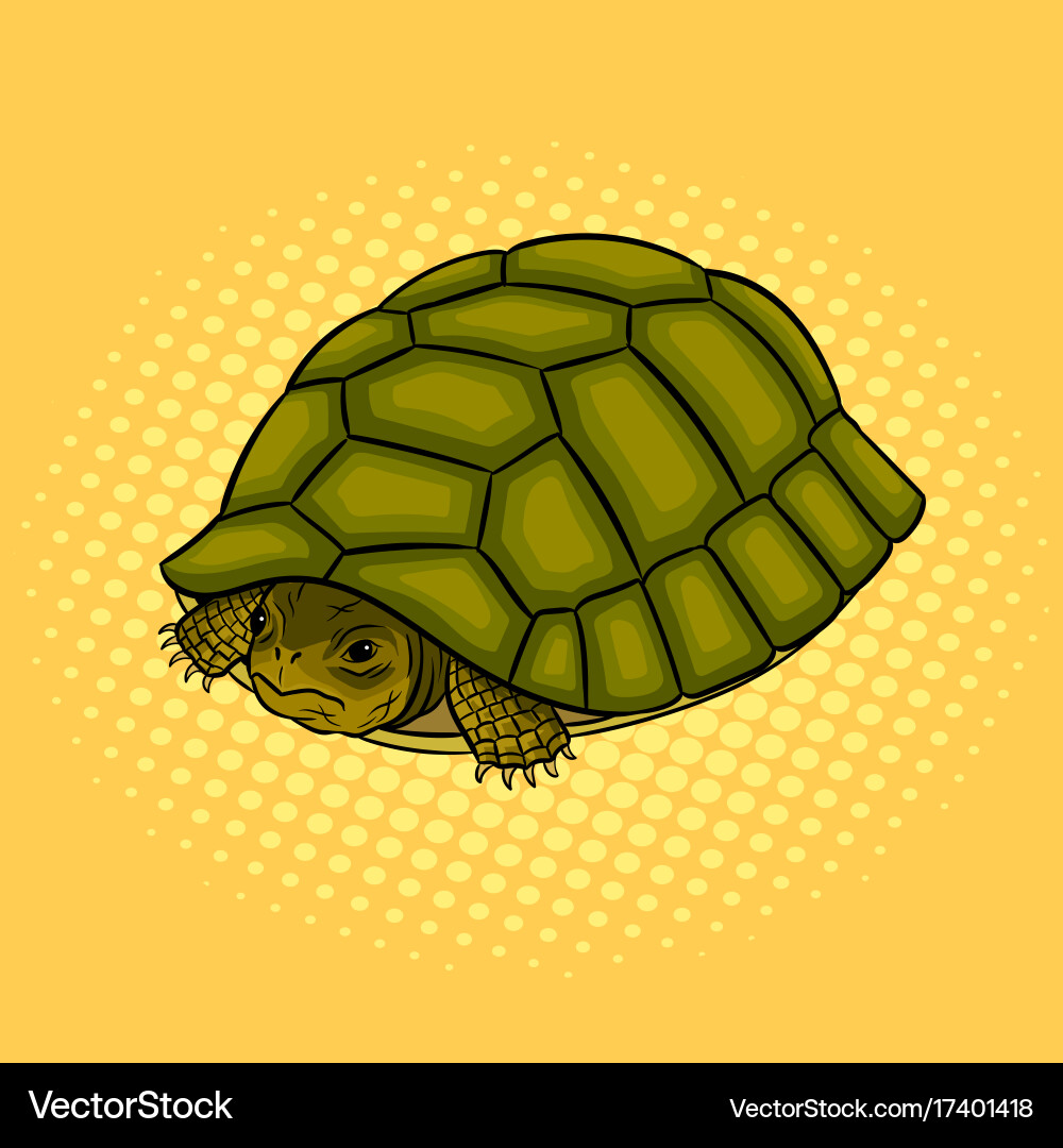 Turtle hiding in shell pop art vector image