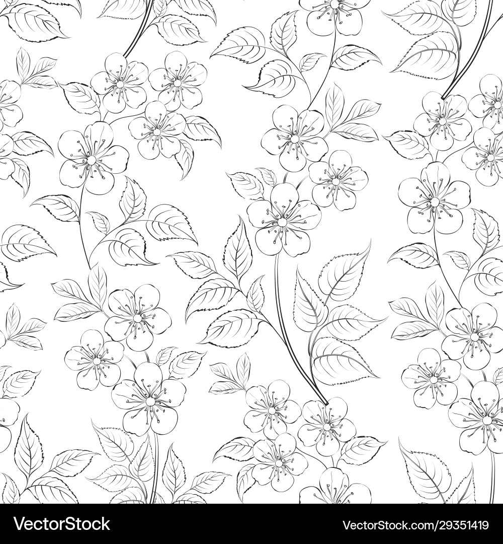 Cherry Blossom Spring Pattern Vector Image