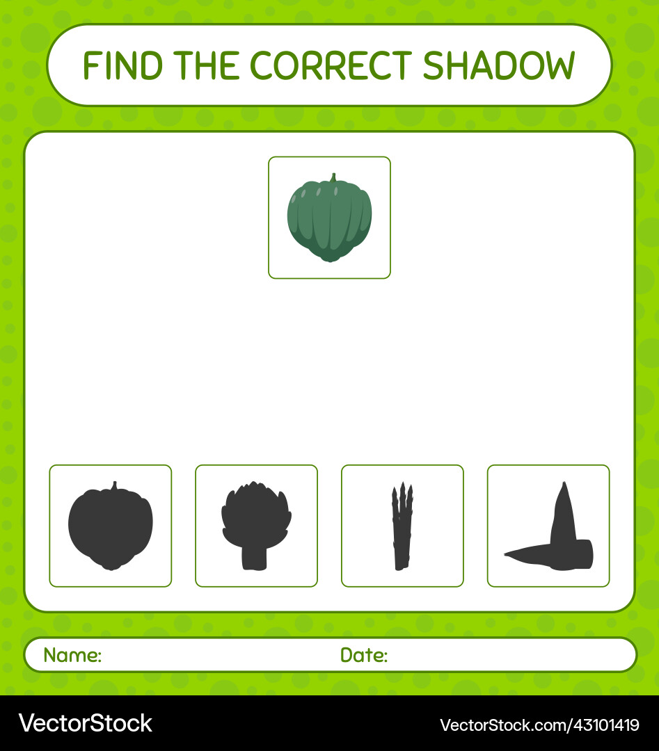 Find the correct shadows game with acorn squash Find the correct shadows game with acorn squash vector image